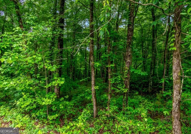 Homes for sale in Ellijay, GA | Lot 44 Harris Creek Dr #44, Ellijay, GA 30540 | MLS# 10678073
