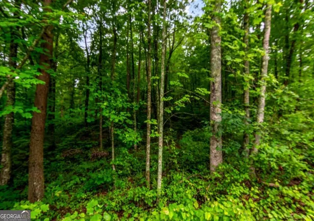Homes for sale in Ellijay, GA | Lot 44 Harris Creek Dr #44, Ellijay, GA 30540 | MLS# 10678073