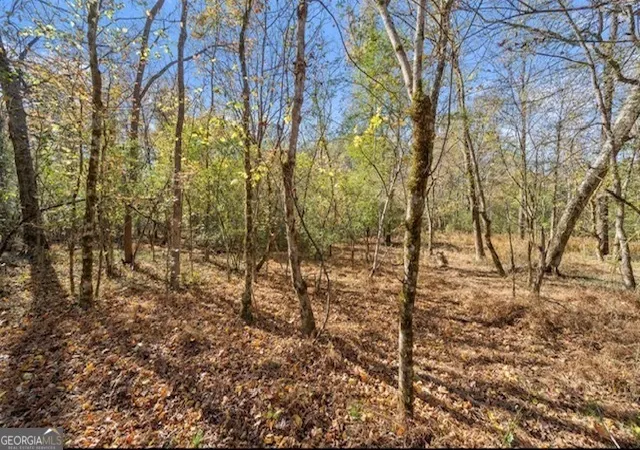 2nd image of 0000 Cords Bridge Rd, Milledgeville, GA 31061 | MLS# 10808640
