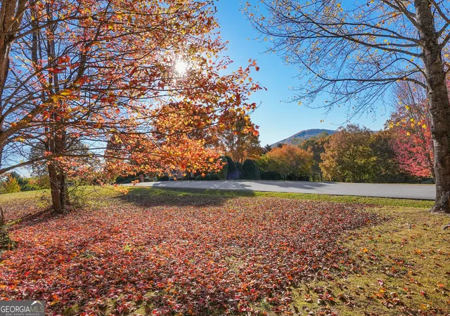 2nd image of 0 Rome Beauty Lane, Lot 4, Clarkesville, GA 30523 | MLS# 10821626