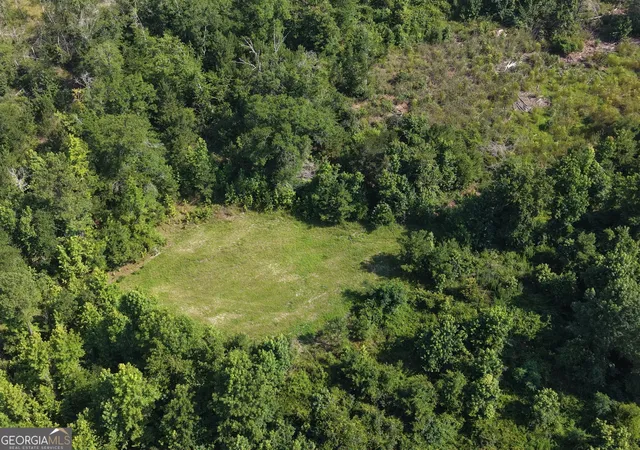 Homes for sale in Midville, GA | 0 Hwy 17, Midville, GA 30441 | MLS# 10804180