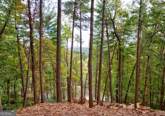 1st image of Lt 102r Ponca Ct #102R, Ellijay, GA 30540 | MLS# 10622979