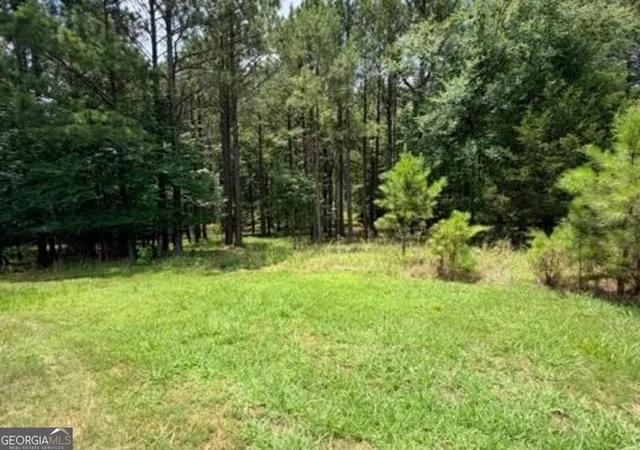 Homes for sale in Tignall, GA | 1476 Rock Point Cvs, Tignall, GA 30668 | MLS# 10792581