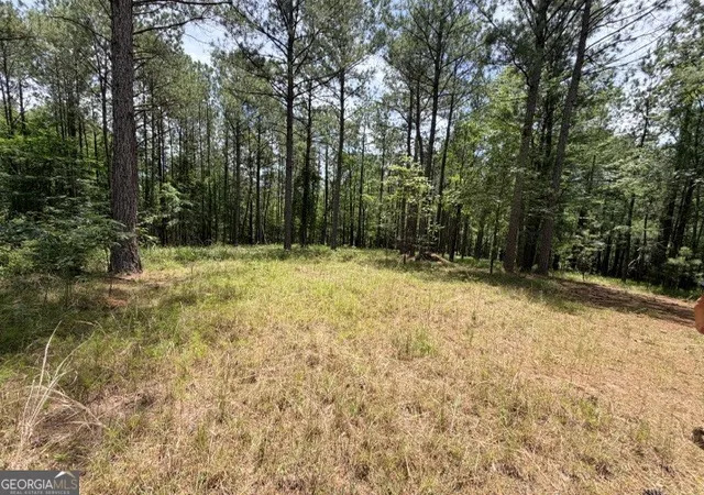 Homes for sale in Tignall, GA | 1476 Rock Point Cvs, Tignall, GA 30668 | MLS# 10792581
