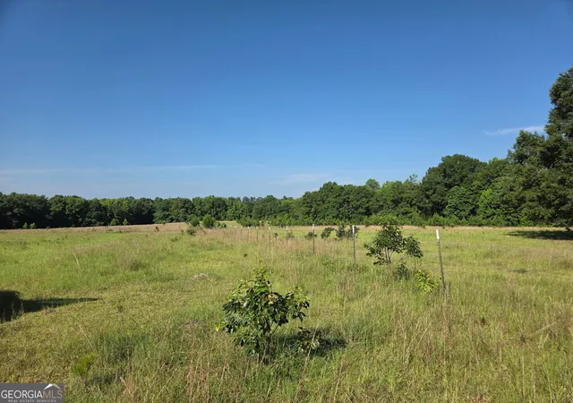 Photo 2 of Sale Pending at 0 Rocky Branch Church Road, Norwood, GA 30821 | MLS# 10827270 | Listing updated on 2026-10-07