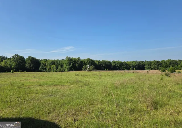 Photo 3 of Sale Pending at 0 Rocky Branch Church Road, Norwood, GA 30821 | MLS# 10827270 | Listing updated on 2026-10-07