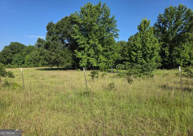Photo 3 of Sale Pending at 0 Rocky Branch Church Road, Norwood, GA 30821 | MLS# 10827270 | Listing updated on 2026-10-07