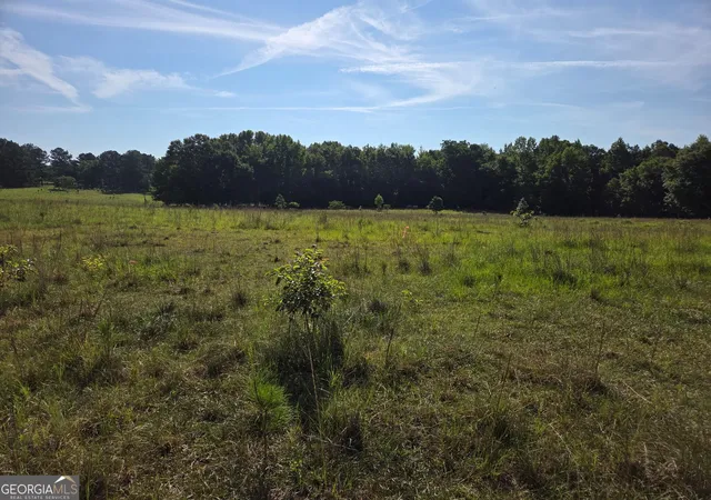 Photo 4 of Sale Pending at 0 Rocky Branch Church Road, Norwood, GA 30821 | MLS# 10827270 | Listing updated on 2026-10-07