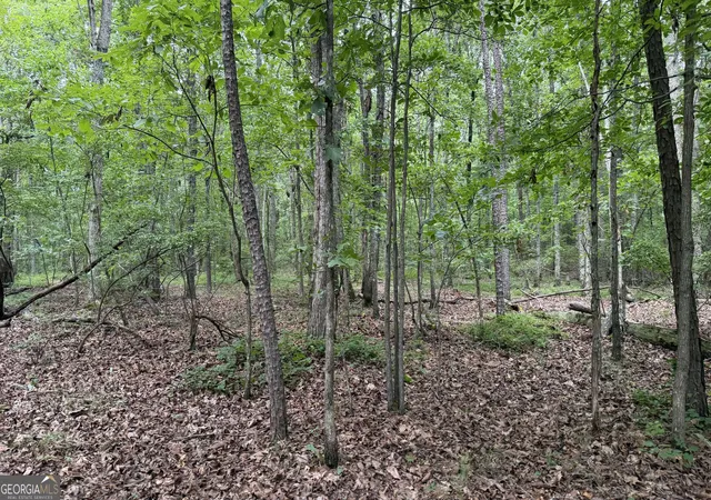 4th image of 0 Dublin Circle #273, Kingston, GA 30145 | MLS# 10806026