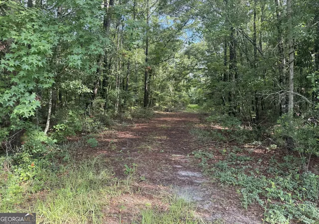 1st image of 68 Johnson Rd, Richmond Hill, GA 31324 | MLS# 10815939