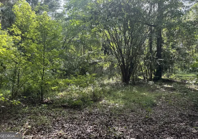 2nd image of 68 Johnson Rd, Richmond Hill, GA 31324 | MLS# 10815939