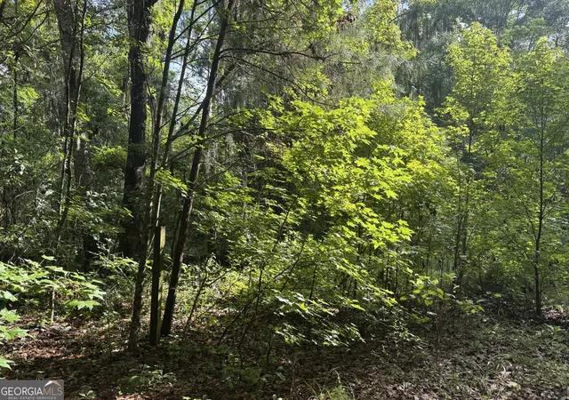 Photo 3 of Land for sale at 68 Johnson Rd, Richmond Hill, GA 31324 | MLS# 10815939 | Listing updated on 2026-08-13