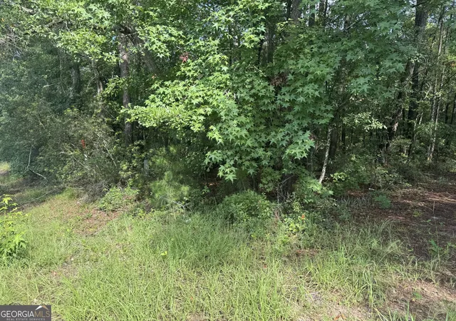 Photo 3 of Land for sale at 68 Johnson Rd, Richmond Hill, GA 31324 | MLS# 10815939 | Listing updated on 2026-08-13