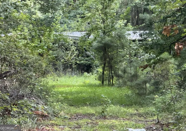 5th image of 68 Johnson Rd, Richmond Hill, GA 31324 | MLS# 10815939