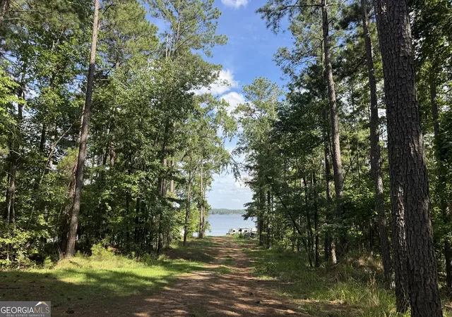 3rd image of 4206 Big Water East, Sparta, GA 31087 | MLS# 10815390