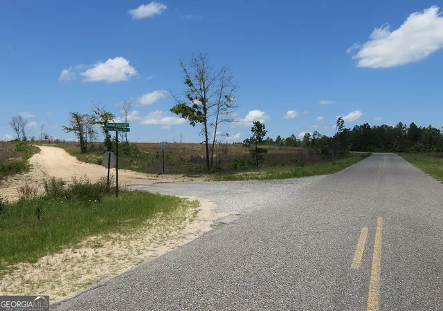 Homes for sale in Buena Vista, GA | 0 Pineville Road, Buena Vista, GA 31803 | MLS# 10530829