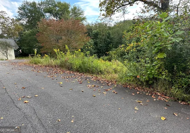 Photo 14 of Land for sale at 0 Tbd Creekfront Ln, Hayesville, NC 28904 | MLS# 10836278 | Listing updated on 2026-09-04