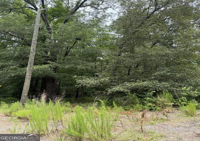 Photo 3 of Land for sale at 1930 Locust Grv Rd, Griffin, GA 30223 | MLS# 10794011 | Listing updated on 2026-07-10