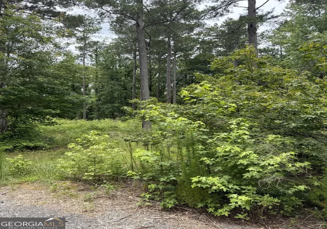 Photo 4 of House for sale at 1930 Locust Grv Rd, Griffin, GA 30223 | MLS# 10794011 | Listing updated on 2026-07-10