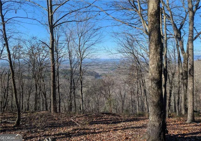Photo 1 of Land for sale at 234 Stirratt Rd, Ranger, GA 30734 | MLS# 10489424 | Listing updated on 2025-12-08
