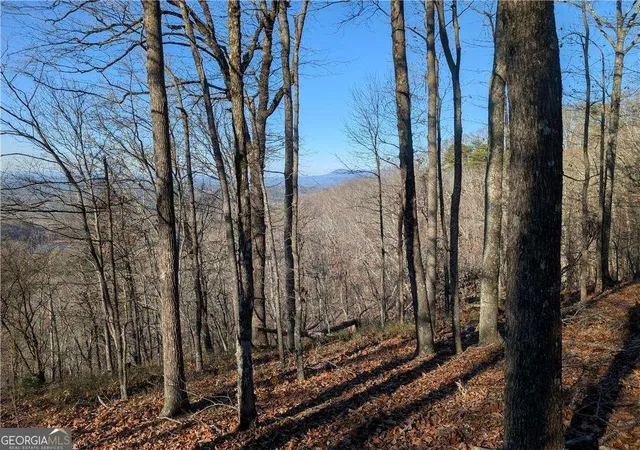 Photo 2 of Land for sale at 234 Stirratt Rd, Ranger, GA 30734 | MLS# 10489424 | Listing updated on 2025-12-08