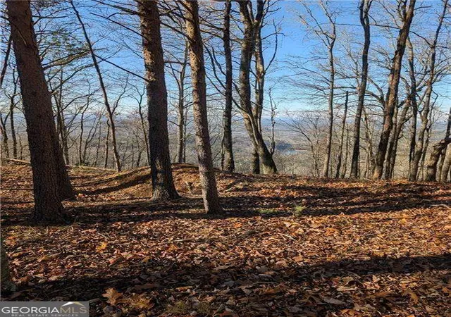 Photo 3 of Land for sale at 234 Stirratt Rd, Ranger, GA 30734 | MLS# 10489424 | Listing updated on 2025-12-08