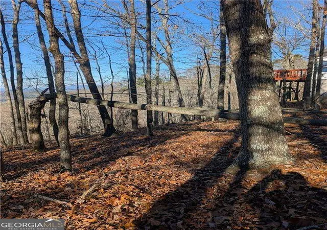 Photo 3 of Land for sale at 234 Stirratt Rd, Ranger, GA 30734 | MLS# 10489424 | Listing updated on 2025-12-08