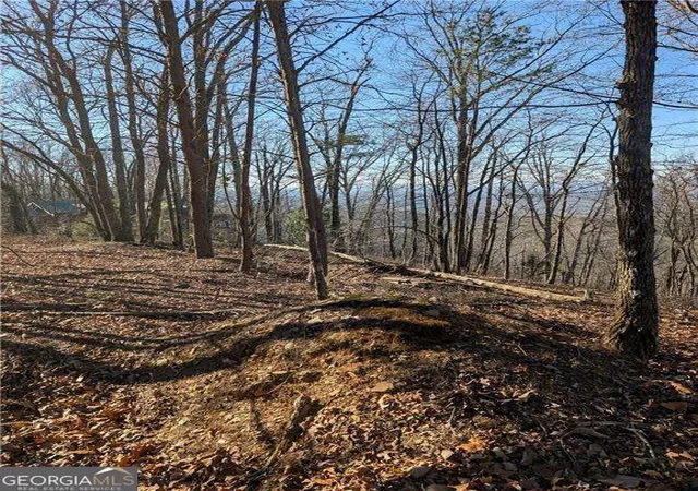 Photo 4 of Land for sale at 234 Stirratt Rd, Ranger, GA 30734 | MLS# 10489424 | Listing updated on 2025-12-08
