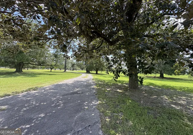 Homes for sale in Metter, GA | 46875 E Hwy 46, Metter, GA 30439 | MLS# 10795332