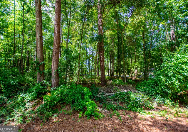 Photo 35 of Land for sale at 0 Pleasant Ridge Church Rd, Carrollton, GA 30117 | MLS# 10805928 | Listing updated on 2026-07-29