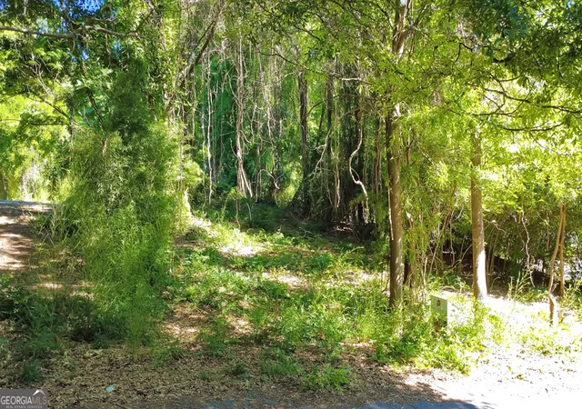 Photo 4 of Land for sale at 0 1st Street, Statham, GA 30666 | MLS# 10689434 | Listing updated on 2026-08-05