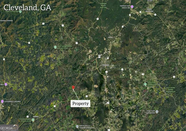 19th image of 0 Gene Nix Rd, Cleveland, GA 30528 | MLS# 10782661