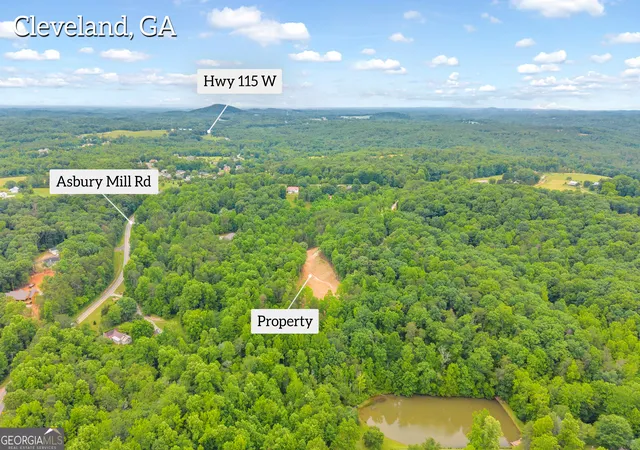 5th image of 0 Gene Nix Rd, Cleveland, GA 30528 | MLS# 10782661