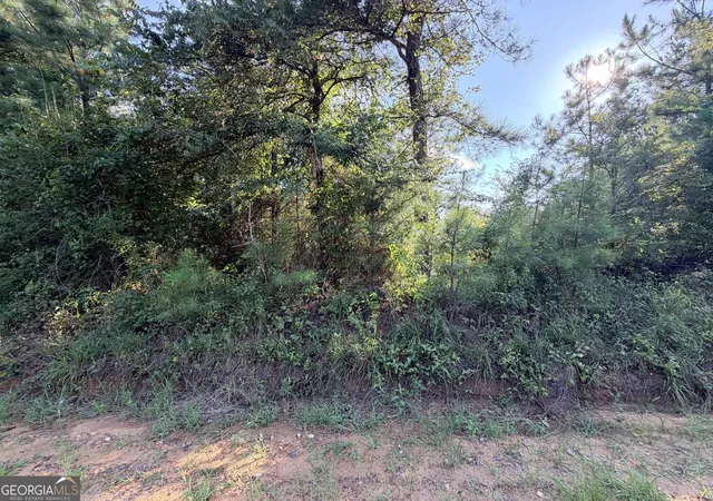 Photo 1 of Sale Pending at 0 Hollis Rd, Roberta, GA 31078 | MLS# 10815243 | Listing updated on 2026-09-07