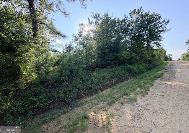 Photo 2 of Sale Pending at 0 Hollis Rd, Roberta, GA 31078 | MLS# 10815243 | Listing updated on 2026-09-07