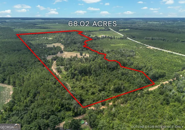 Photo 1 of Land for sale at Tbd Nicholson Carr Rd, Chester, GA 31012 | MLS# 10826424 | Listing updated on 2026-08-21