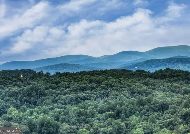 4th image of 144 The Bluff #6Q, Morganton, GA 30560 | MLS# 10829668
