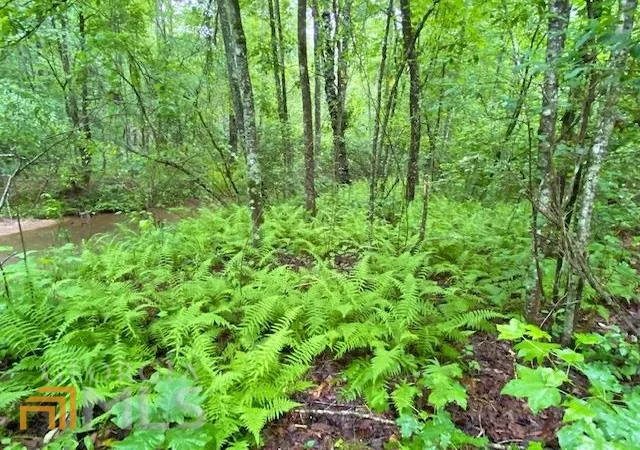 Photo 3 of Land for sale at 2243 Damascus Rd, Ball Ground, GA 30107 | MLS# 10476577 | Listing updated on 2026-09-14
