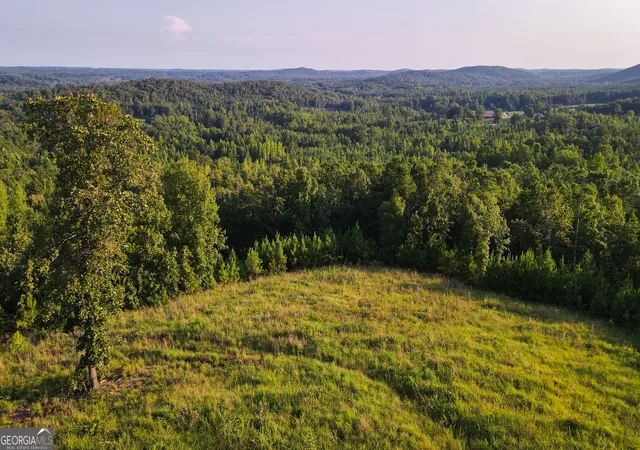 1st image of 200 Tablee Lane, Ashland, AL 36251 | MLS# 10815090