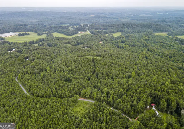 25th image of 200 Tablee Lane, Ashland, AL 36251 | MLS# 10815090