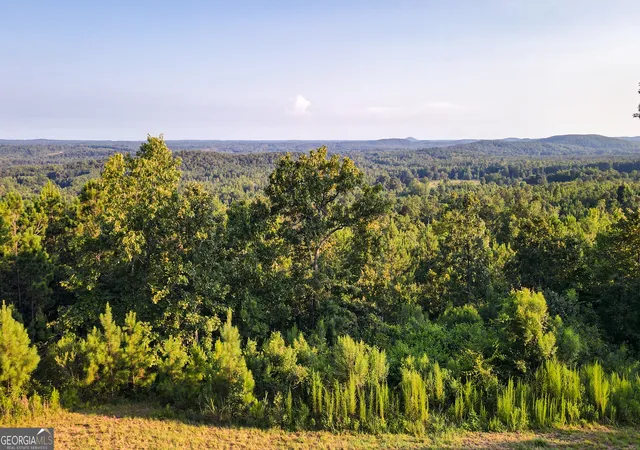 2nd image of 200 Tablee Lane, Ashland, AL 36251 | MLS# 10815090