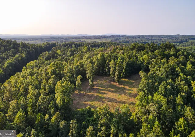 Photo 2 of Land for sale at 200 Tablee Ln, Ashland, AL 36251 | MLS# 10815090 | Listing updated on 2026-08-12