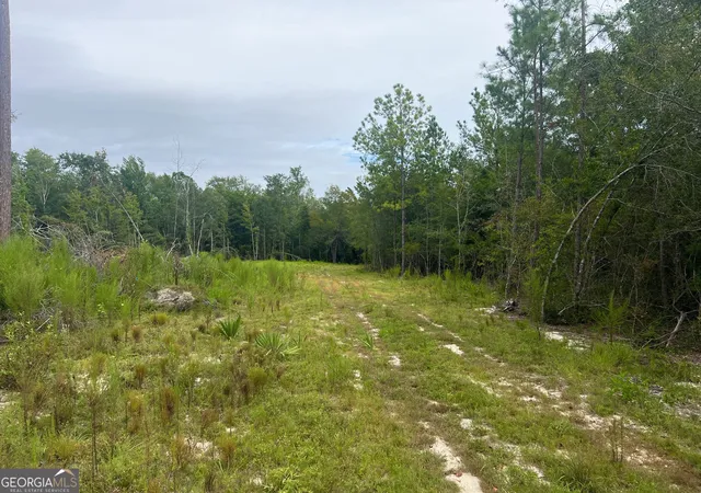 1st image of 0 Old Ailey Lothair Rd, Mount Vernon, GA 30445 | MLS# 10818354