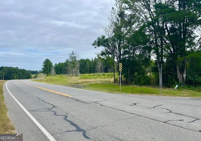 2nd image of 0 Old Ailey Lothair Rd, Mount Vernon, GA 30445 | MLS# 10818354