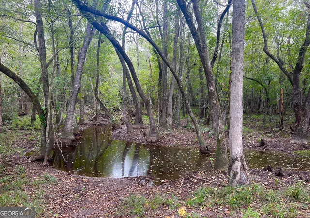 3rd image of 0 Old Ailey Lothair Rd, Mount Vernon, GA 30445 | MLS# 10818354