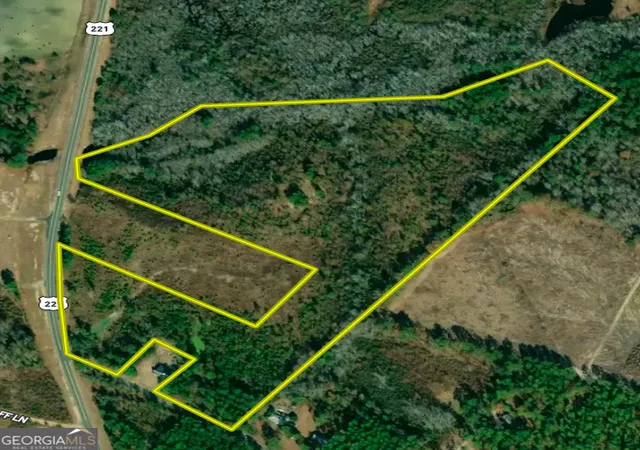 4th image of 0 Old Ailey Lothair Rd, Mount Vernon, GA 30445 | MLS# 10818354