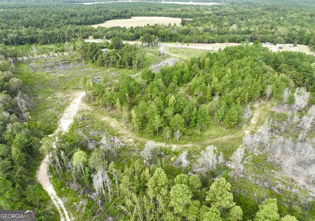 5th image of 0 Old Ailey Lothair Rd, Mount Vernon, GA 30445 | MLS# 10818354