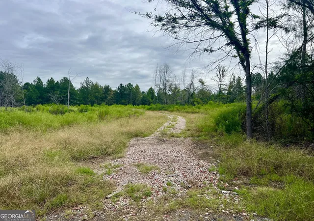 6th image of 0 Old Ailey Lothair Rd, Mount Vernon, GA 30445 | MLS# 10818354