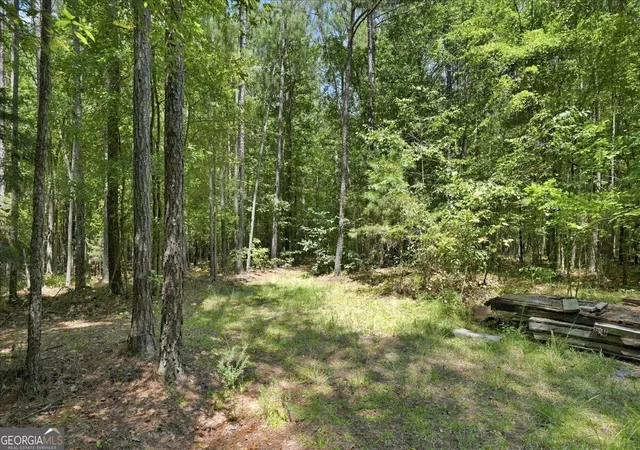 Photo 3 of Land for sale at 0 Cherokee Rd, Elberton, GA 30635 | MLS# 10836676 | Listing updated on 2026-09-14