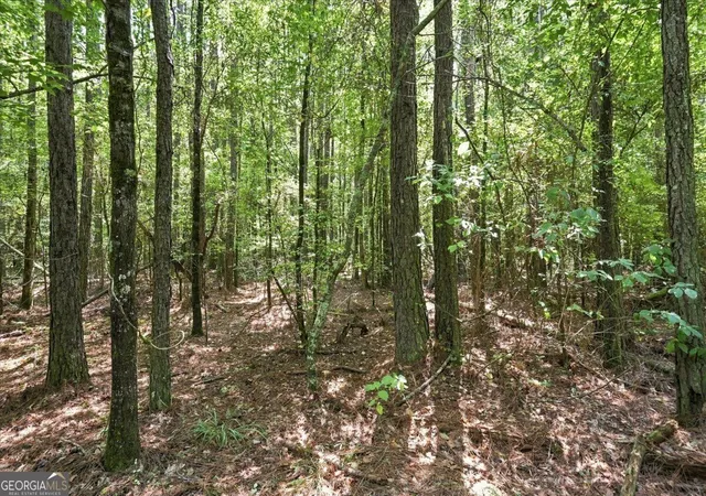 Photo 3 of House for sale at 0 Cherokee Rd, Elberton, GA 30635 | MLS# 10836676 | Listing updated on 2026-09-14